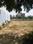 vatika india next plot sector 83 gurgaon Plot View 2
