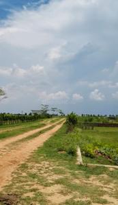 Image of 1000 Sq.ft Residential Plot / Land for sale in Maniram, Gorakhpur for Rs. 651000