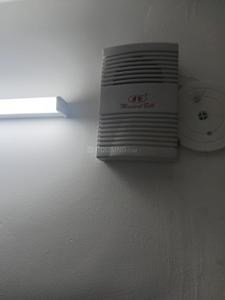 Hall Image of 1365 Sq.ft 3 BHK Independent House for rent in Model Town Panipat for Rs. 21458