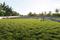 Raghunandan Park Plot View 2