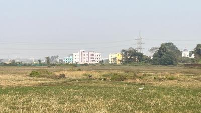 Patrapada Plot View 2