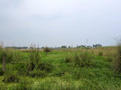 Image of 720 Sq.ft Residential Plot / Land for sale in Wander Valley, Joka, Kolkata for Rs. 266666