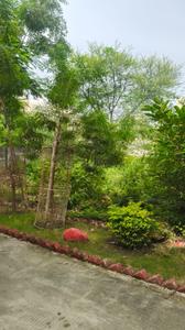 Danish Kunj Plot View 2
