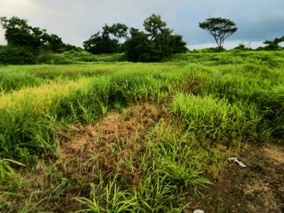 Image of 1089 Sq.ft Residential Plot / Land for sale in Parali, Raigad for Rs. 300000