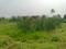 Mukundapur uchhepota Plot View 1
