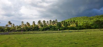 Image of 1300 Sq.ft Residential Plot / Land for sale in Paranur, Chennai for Rs. 1553500