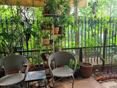 Balcony Image of 1500 Sq.ft 3 BHK Apartment / Flat for sale in Lodha Sterling, Thane West Thane for Rs. 27000000