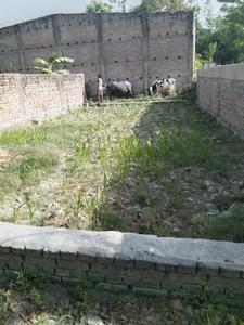 Block D Plot View 3