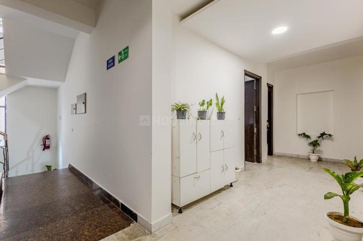 Hall Image of Luxury pg in Sector 44, Gurgaon