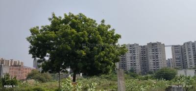 Image of 1620 Sq.ft 1 BHK Independent House for sale in Noida Extension, Greater Noida for Rs. 13500000