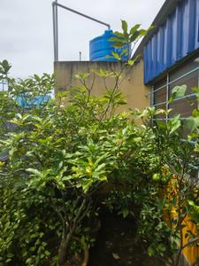 Image of 1200 Sq.ft 3 BHK Independent House for sale in Ram Nagar, Kolkata for Rs. 5000000
