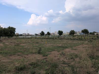JBs Nature Valley Phase I Plot View 2