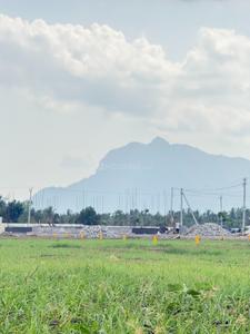 Image of 1487 Sq.ft Residential Plot / Land for sale in Kovilpalayam, Coimbatore for Rs. 5085540