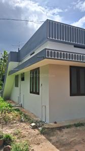 Image of 850 Sq.ft 2 BHK Independent House for rent in Chempazhanthy, Thiruvananthapuram for Rs. 12000