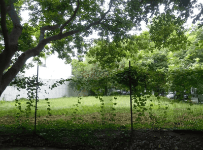 Sector 25 Plot View 2