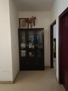 Hall Image of 1576 Sq.ft 4 BHK Builder Floor for sale in Sector 52 Gurgaon for Rs. 23000000
