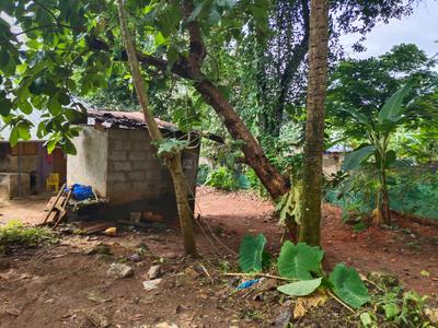 Image of 1500 Sq.ft 1 BHK Independent House for sale in Arangamugal, Thiruvananthapuram for Rs. 6600000