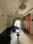 Hall Image of Mahagun Moderne in Sector 78, Noida