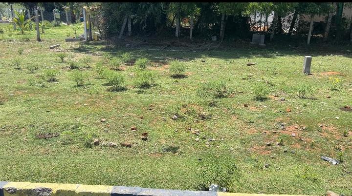 Sathiyam Serene Enclave Main Image 1