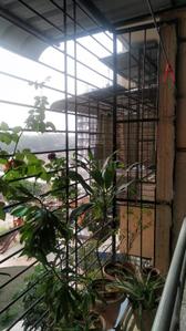 Balcony Image of 615 Sq.ft 1 BHK Apartment / Flat for sale in Motiram Lakeview, Badlapur West Badlapur for Rs. 2600000