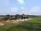 Swapnabhumi Main Image 1