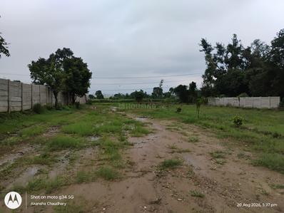 Image of 900 Sq.ft Residential Plot / Land for sale in Dharmawala, Dehradun for Rs. 3000000
