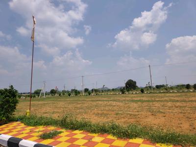Residential Plot