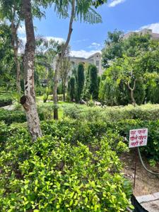Image of 400 Sq.ft Residential Plot / Land for sale in Omaxe Phase 3 Mullanpur, New Chandigarh, Chandigarh for Rs. 55000000