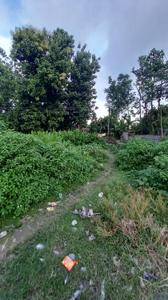 Image of 4320 Sq.ft Residential Plot / Land for sale in Pelku, Siliguri for Rs. 7000000
