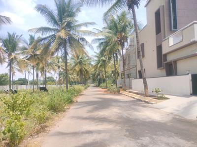 JR Coconest Prime Internal Roads 1
