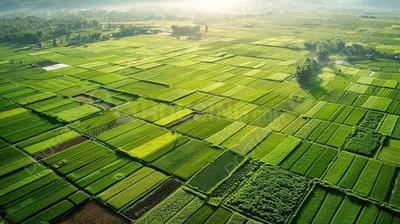 Image of 2178 Sq.ft Residential Plot / Land for sale in Khandual, Sambalpur for Rs. 2750000