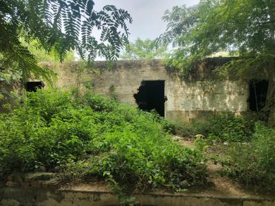 Image of 200 Sq.ft Residential Plot / Land for sale in Eta I, Greater Noida for Rs. 30000000