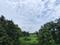 Neral Plot View 2