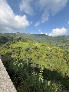 Image of 12150 Sq.ft Residential Plot / Land for sale in Kulhan, Dehradun for Rs. 94500000
