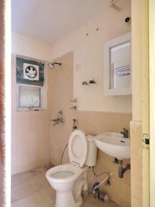 Common Bathroom Image of 1430 Sq.ft 3 BHK Apartment / Flat for sale in Jaypee Aman, Aurangabad Noida for Rs. 10500000