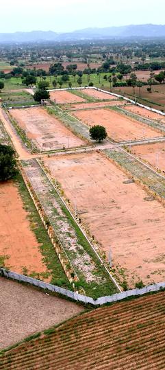 RRR Green Avenue Main Image 1