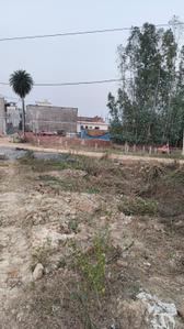 Image of 1125 Sq.ft Residential Plot / Land for sale in Dibiyapur, Auraiya for Rs. 1600000