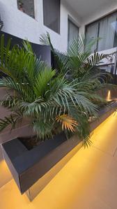 Image of 4700 Sq.ft 7 BHK Independent House for sale in Sector 85, Mohali for Rs. 175000000