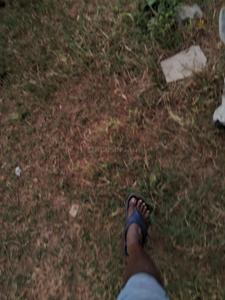 Sundarpada Plot View 2