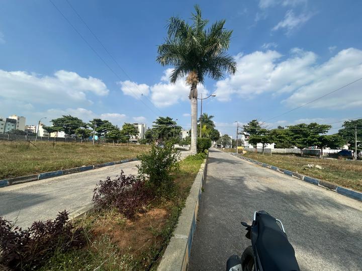 Classic Elmwood Main Image 1