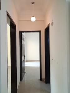 Passage Image of 1359 Sq.ft 3 BHK Apartment / Flat for sale in Paramount Floraville, Kulesara Noida for Rs. 16500000