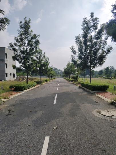 Singanayakanahalli Amanikere Main Image 1