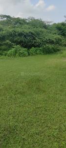Image of 1674 Sq.ft Residential Plot / Land for sale in States Lucknow, Jankipuram, Lucknow for Rs. 1674000