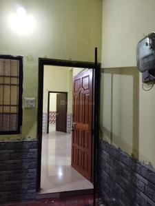 Hall Image of 1200 Sq.ft 2 BHK Independent House for rent in Sarkanda Bilaspur for Rs. 12000