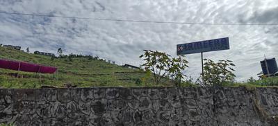 Image of 3539 Sq.ft Residential Plot / Land for sale in Shenbaganur, Kodaikanal for Rs. 9197861