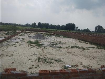 Sultanpur Village Plot View 2