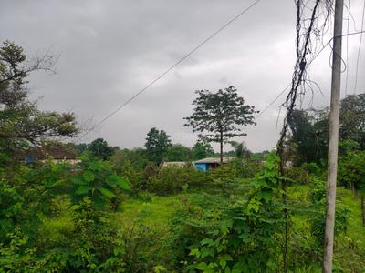 Image of 32670 Sq.ft Residential Plot / Land for sale in Murbad, Thane for Rs. 4950000