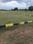 City Plots Plot View 2