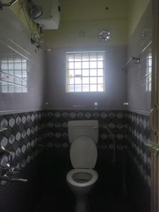Common Bathroom Image of 1250 Sq.ft 2 BHK Apartment / Flat for rent in Akshay, Mahadevapura Bengaluru for Rs. 33000