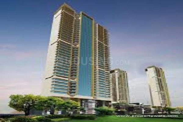 Sheth Montana Main Image 1